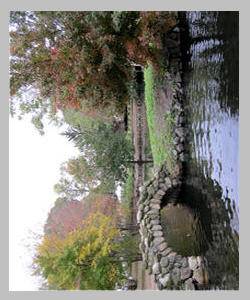 landscape_rotation.jpg landscape_rotation.jpg